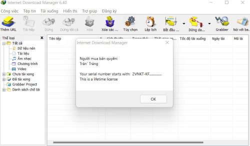 Internet Download Manager (IDM) - Trọn đời photo review