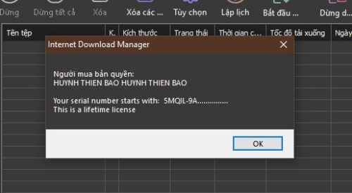 Internet Download Manager (IDM) - Trọn đời photo review