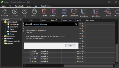 Internet Download Manager (IDM) - Trọn đời photo review