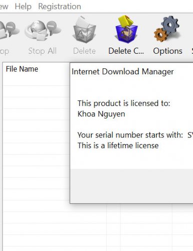 Internet Download Manager (IDM) - Trọn đời photo review