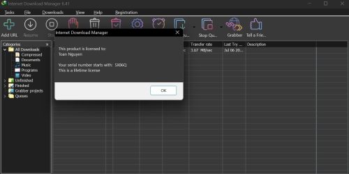 Internet Download Manager (IDM) - Trọn đời photo review