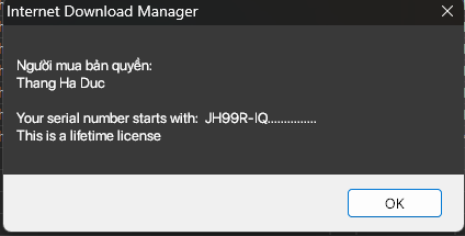 Internet Download Manager (IDM) - Trọn đời photo review