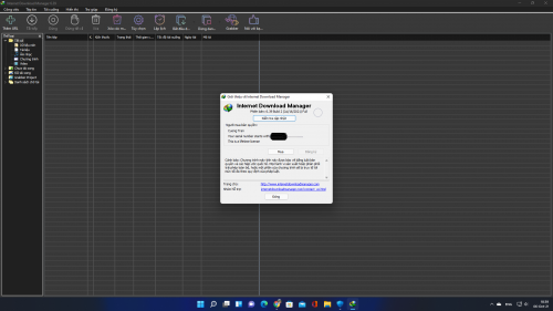 Internet Download Manager (IDM) - Trọn đời photo review