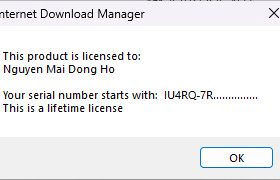 Internet Download Manager (IDM) - Trọn đời photo review