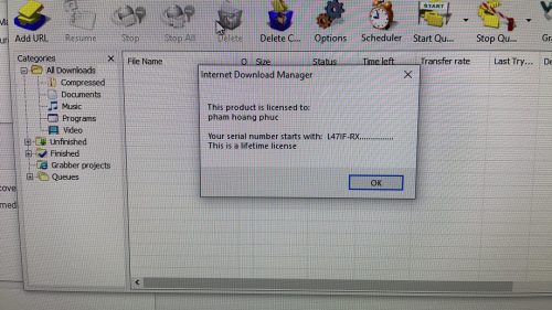 Internet Download Manager (IDM) - Trọn đời photo review