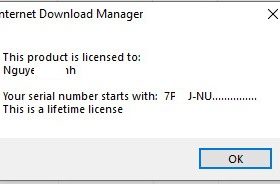 Internet Download Manager (IDM) - Trọn đời photo review