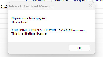 Internet Download Manager (IDM) - Trọn đời photo review