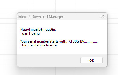 Internet Download Manager (IDM) - Trọn đời photo review