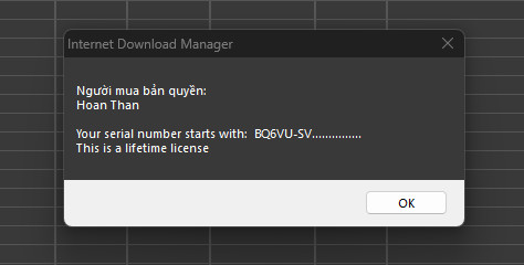 Internet Download Manager (IDM) - Trọn đời photo review