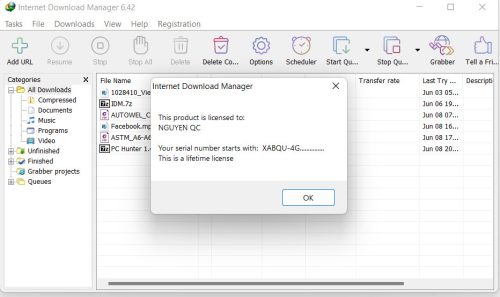 Internet Download Manager (IDM) - Trọn đời photo review