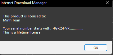 Internet Download Manager (IDM) - Trọn đời photo review