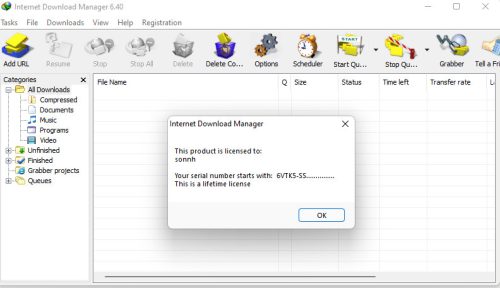 Internet Download Manager (IDM) - Trọn đời photo review
