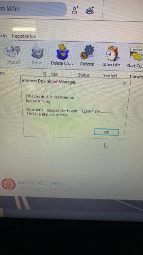 Internet Download Manager (IDM) - Trọn đời photo review